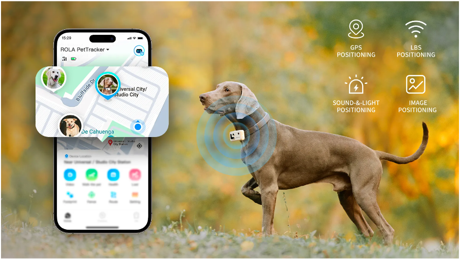 pet-tracker-dinh-vi-thu-cung-10