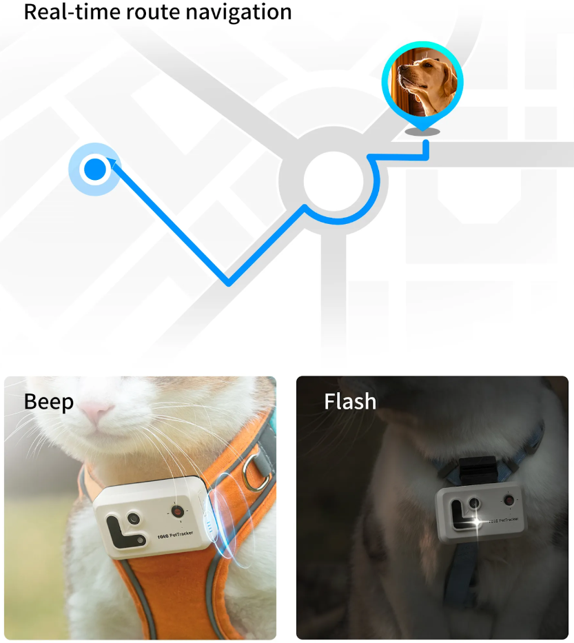 pet-tracker-dinh-vi-thu-cung-12