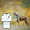 dinh-vi-thu-cung-rola-pettracker - ảnh nhỏ 6