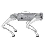 Robot chó Go1