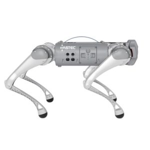 Robot chó Go1