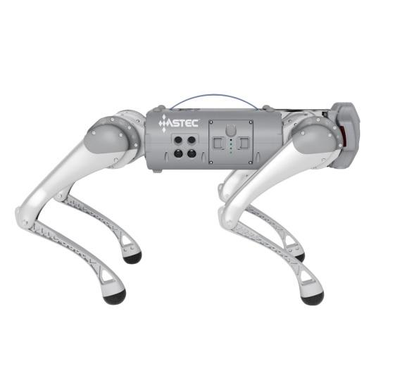 Robot chó Go1