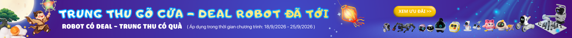 Promotion Banner