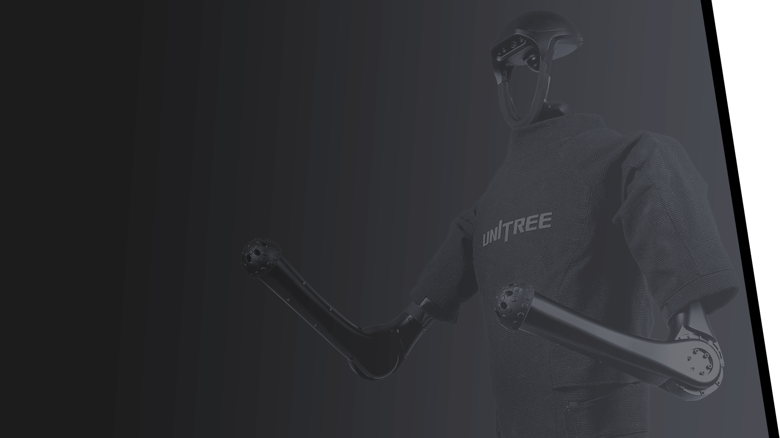 Unitree H1
